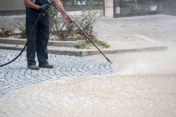 Animal Enclosure Cleaning in Bassett, VA